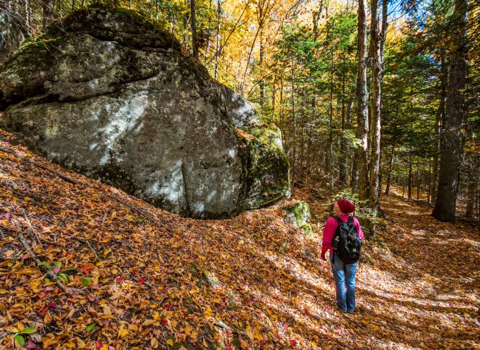 Giselle looking at the fall foilage